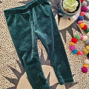 Green velvet Leggings